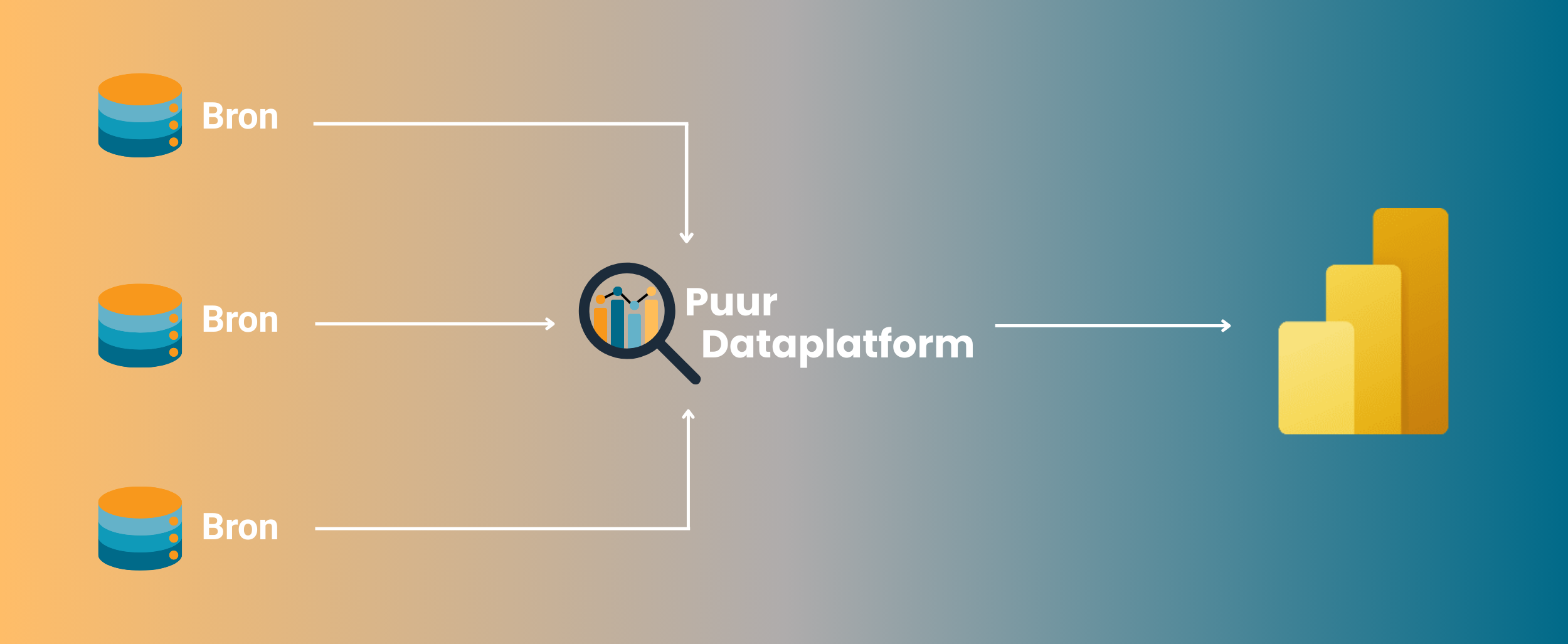 Puur platform visual
