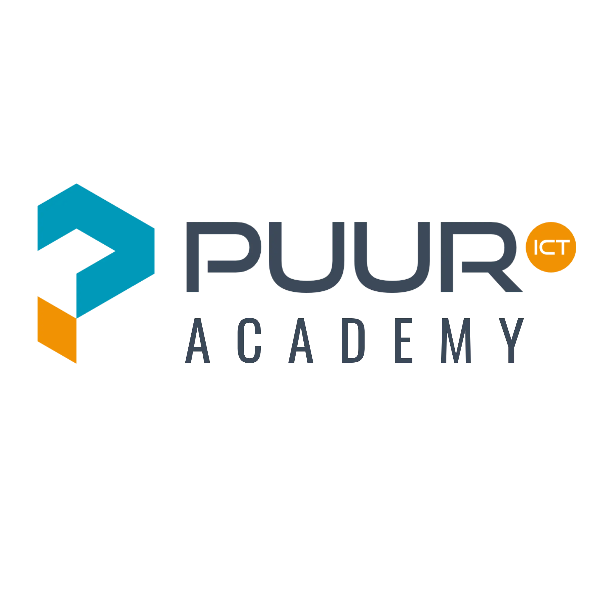 Puur Academy Logo